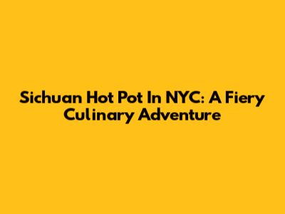 Sichuan Hot Pot In NYC: A Fiery Culinary Adventure